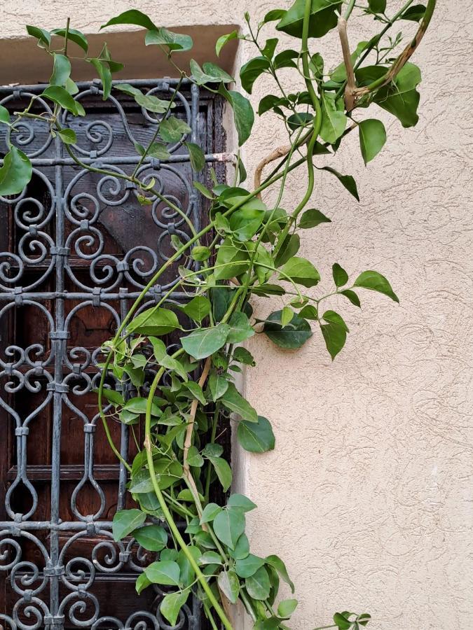 Riad Rime Garden Marrakech Lagouassem Exteriér fotografie